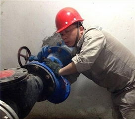 聚焦市供水公司引水分公司設備檢修 精細維護，保障城市供水生命線
