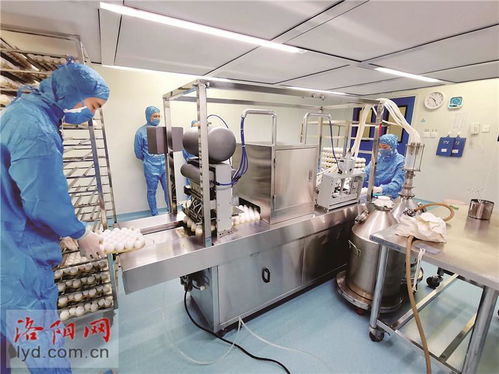 科技護牧 洛陽惠中生物以高端疫苗研發鑄就畜牧安全屏障